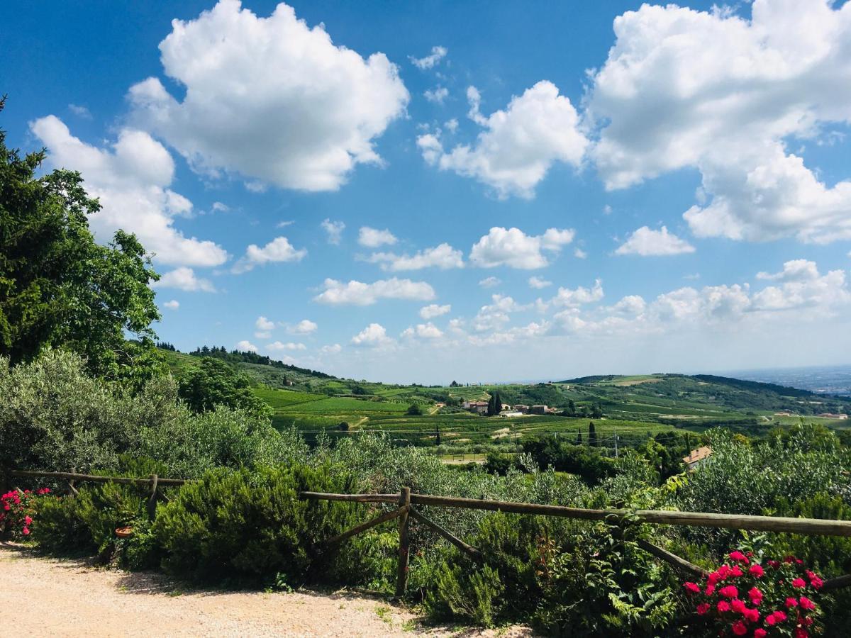 Agriturismo La Perlara - Adults Only Werona Zewnętrze zdjęcie