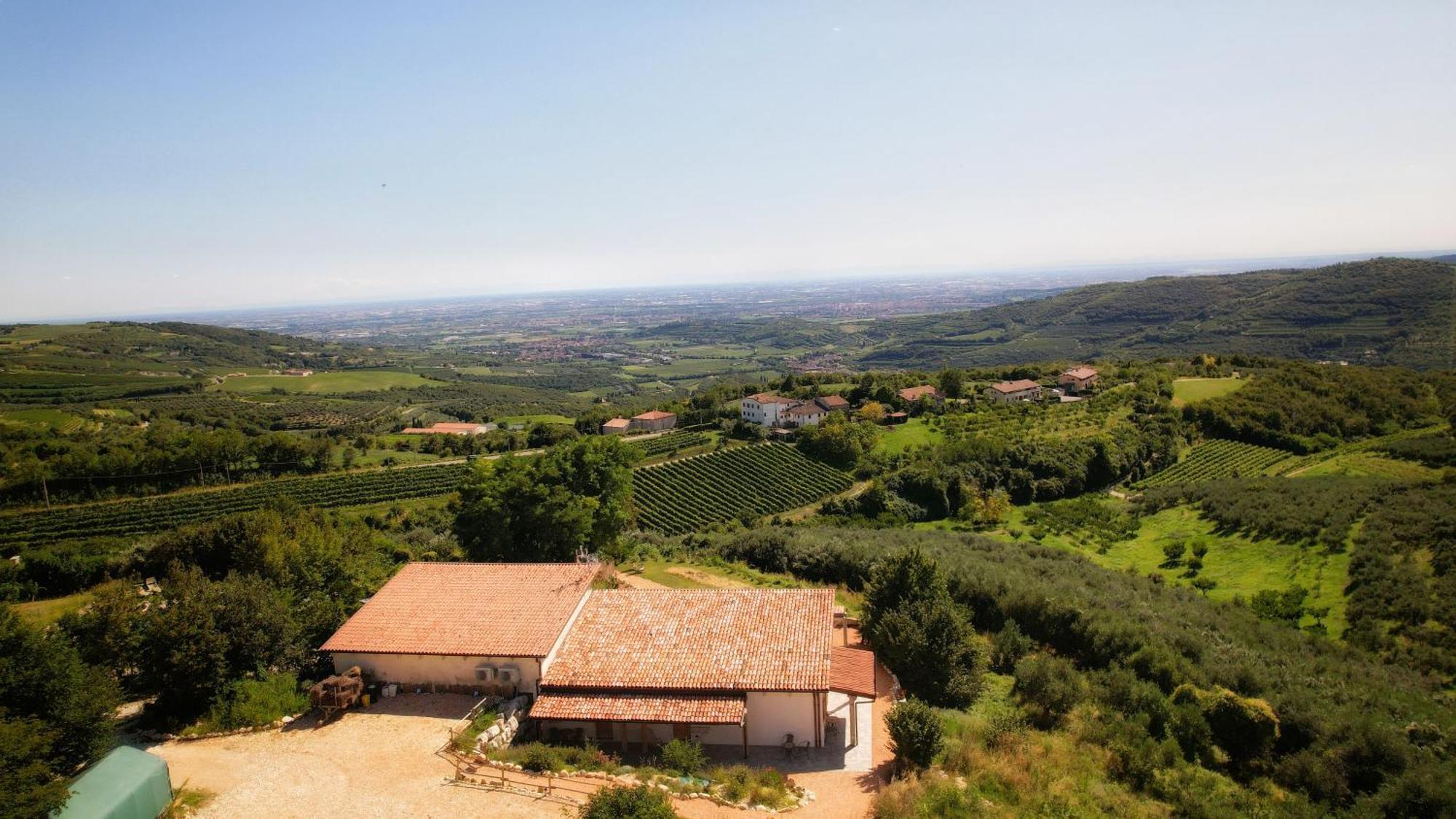 Agriturismo La Perlara - Adults Only Werona Zewnętrze zdjęcie